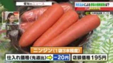 レタスは需要減で値下がりも高値続く　旬のダイコンと寒さで甘み増すニンジンは安定の価格推移