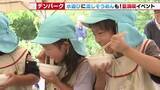 「特産「和泉そうめん」をパクリ！安城市のデンパークのサマーフェスティバル　地元の園児が一足先に満喫」の画像1