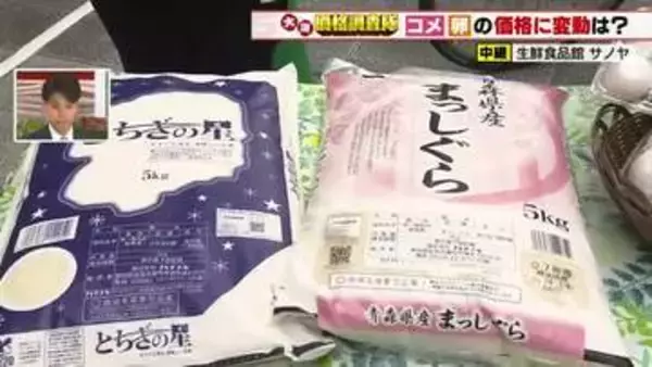 銘柄米5キロの仕入れ価格は200円値下がりで販売価格3500円台　卵は1パック289円で高値続く