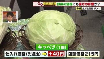 【猛暑の影響で野菜が値上がり】キャベツ・ハクサイが40円も　名古屋市中区大須のスーパーで価格調査