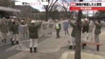だいぶ大きな「レッサーパンダ」捕獲大作戦　名古屋の東山動植物園で脱走した動物の捕獲訓練