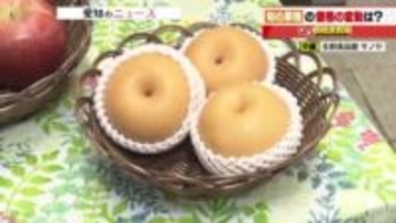あんぽ柿・リンゴ「シナノスイート」・ナシ「南水」に価格変動なし　あんぽ柿は旬の12月にも値下がりか