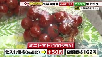 野菜の価格 端境期の品薄や雨の影響でミニトマト、キュウリが値上がり ブロッコリーは品が増えて値下がり