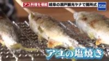 板取川を眺めながらアユ料理を堪能　洞戸観光ヤナがシーズン開始を前に開所式