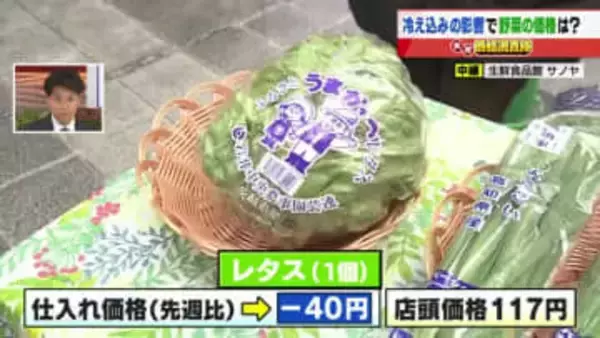 レタス1個の仕入れ価格－40円で店頭価格117円　1月末に258円まで上昇したが生育回復で出荷も順調