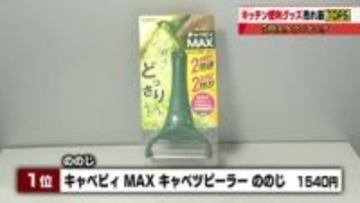 新生活に役立つ「キッチン便利グッズ」の売れ筋調査　キャベツの千切りが簡単にできるピーラーが1位