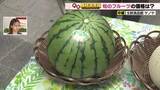 「夏に向けて小玉スイカとアンデスメロンが名古屋のスーパーに初入荷　スイカは1個約1700円」の画像1