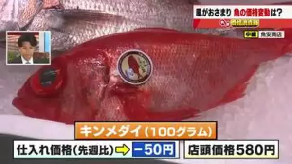 マダイとキンメダイの仕入れ価格ともに50円値下がり　風がおさまり漁獲量増えたことが原因