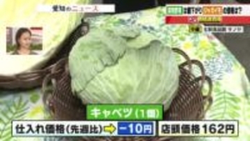 キャベツや白菜は価格安定　愛知や関東の出荷量増加で仕入れ価格ダウン　ジャガイモは収穫量減少で品薄に