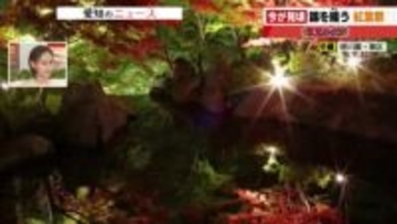 まさに今が見ごろ「逆さ紅葉」が映える徳川園の日本庭園で「紅葉フォト対決」に挑む
