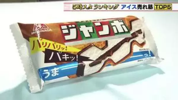 ボリューム満点のチョコモナカジャンボが1位！定番から話題作まで集めたアイス売れ筋TOP5