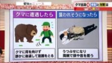 クマ急増「生息範囲を広げようとする習性＋ドングリ不足」専門家指摘　遭遇したら「後退して距離を保って」