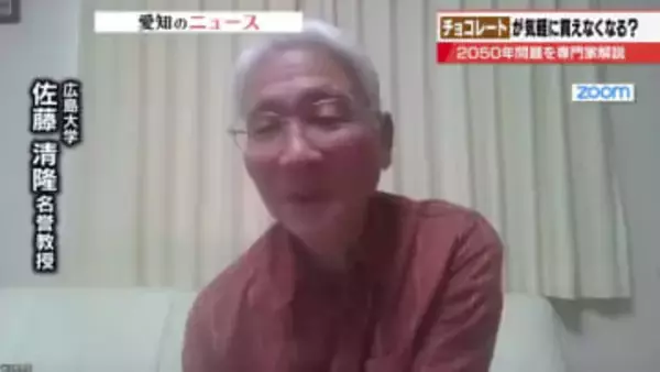 チョコレートが食べられなくなる未来がすぐそこに　「カカオ2050年問題」を専門家が解説