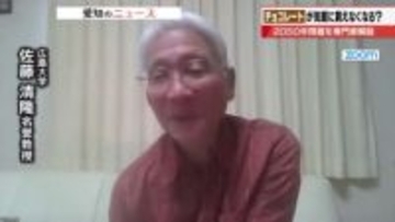 チョコレートが食べられなくなる未来がすぐそこに　「カカオ2050年問題」を専門家が解説