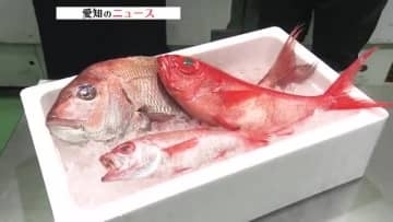 最強寒波が魚価を直撃　仕入れ価格はキンメ180円・ノドグロ100円の大幅値上がり　更なる高騰懸念も
