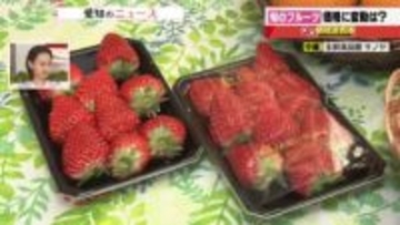 果物の価格　イチゴ・デコポンは価格安定へ　リンゴ・サンふじは貯蔵減少により高値傾向