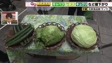 キャベツの仕入れ値は関東産の出荷増で40円値下がり　レタスは生育よく20円値下がり