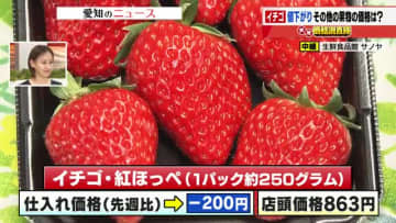 クリスマスを前に「イチゴの価格」が下がる　天候安定で出荷も順調1パック863円に　ミカンは1割高