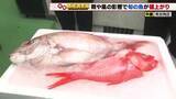 「雨と風の影響で魚の価格が値上がり　キンメダイ＋100円　マダイ＋50円　天候安定で値下がり期待」の画像1