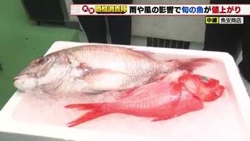 雨と風の影響で魚の価格が値上がり　キンメダイ＋100円　マダイ＋50円　天候安定で値下がり期待
