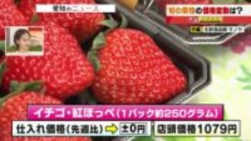 暑さと少雨の影響で小玉傾向の富有柿は仕入れ価格が1個20円値下がり店頭価格194円　このまま推移か