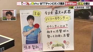 「ハリーカウンター」卓球・張本智和選手の必殺技　強くて速い球を返せる理由を深掘り