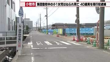 登校中の小1女児が横断歩道を横断中、車にはねられ死亡 　40歳会社員の男を逮捕　愛知県小牧市