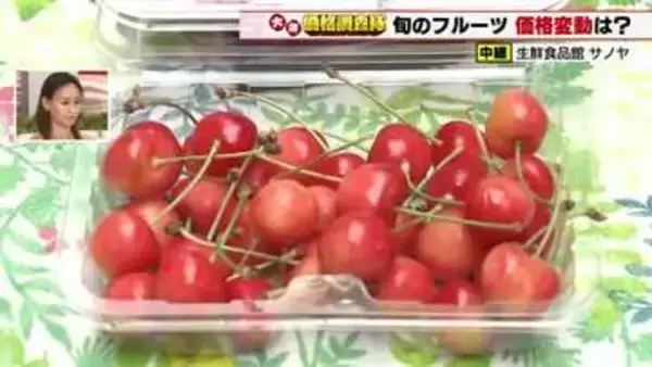 初夏の果物は物量増加で値下がり　「サクランボ」の仕入れ価格は50円値下がり　ハウスミカンも値下がり