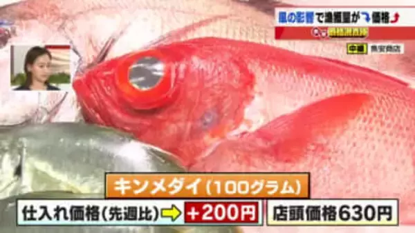 「マダイ」「キンメダイ」の仕入れ価格が200円値上がり　風の強い日が続き漁獲量が減ったことが原因