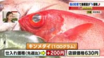 「マダイ」「キンメダイ」の仕入れ価格が200円値上がり　風の強い日が続き漁獲量が減ったことが原因