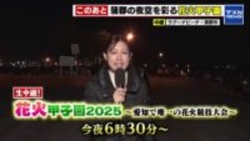 愛知で開幕「花火甲子園2025」　テレビ愛知で生中継
