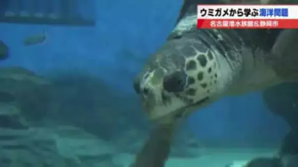 「海洋プラスチック」ウミガメから学ぶ海の環境問題