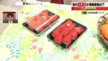 イチゴ・紅ほっぺの仕入れ価格は20円値下がり　1月20日からの冷え込みで今後は値上がりか