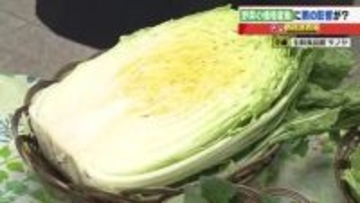 キャベツの仕入れ価格が値下がり　販売価格は1個162円　レタスの仕入れ価格は雨が多くて値上がり