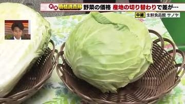 キャベツは産地切り替わり順調で仕入れ価格20円値下がり　ハクサイは30円、コマツナは20円値上がり