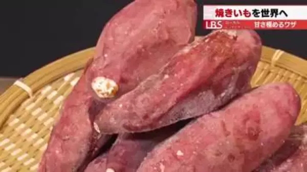 「宮崎から北米へ　江戸時代の伝統スイーツを輸出する年間出荷200トンの焼き芋製造集団の海外戦略」の画像