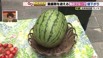 小玉スイカの仕入れ値は露地物が増えて200円値下がり　キウイは中東情勢安定による輸入増に期待
