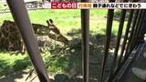 「「家族でみんなでいるのが楽しい」GW後半の名古屋は行楽日和　東山動植物園や名古屋城が賑わう」の画像1