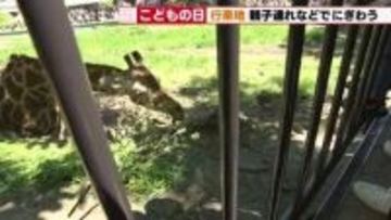 「家族でみんなでいるのが楽しい」GW後半の名古屋は行楽日和　東山動植物園や名古屋城が賑わう