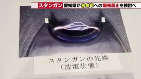【愛知県】名古屋の未成年スタンガン強盗相次ぎ「有害玩具類」指定を検討へ　18歳未満への販売禁止も