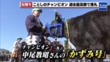 【松阪牛】過去最高の5259万円で朝日屋が落札　チャンピオンは「かずみ号」　三重県で品評会