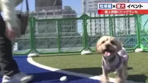 松坂屋名古屋店×犬　バカラのペット用ボウルは25万円越え　ラグジュアリーブランドもペット用グッズ販売