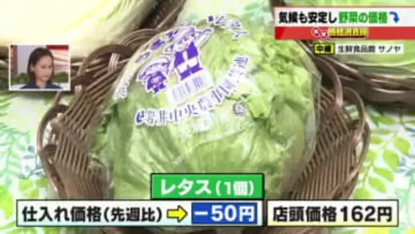 キャベツは20円、レタスは50円　出荷量が増えて野菜の仕入れ価格軒並み値下がり　例年並みに