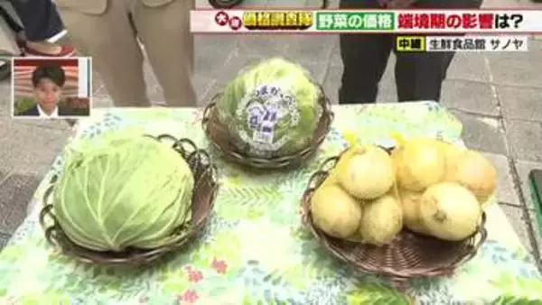 キャベツは春物の出荷量が増えず仕入れ価格が20円値上がり　タマネギは全体量が増え80円値下がり
