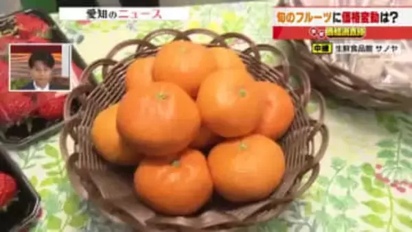 「イチゴ」は出荷順調で仕入れ100円値下がり　ミカンは30円値下がりも生育遅れで例年比1割高