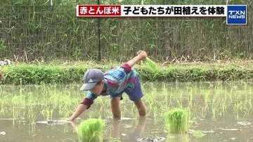「（収穫が）わくわく」 赤とんぼ米の田植え体験に親子連れなど約25人が参加 愛知県豊田市