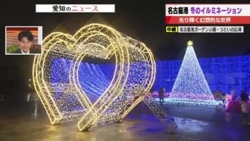クリスマス・イブの名古屋港の夜を彩る約15万球のLED　幻想的なイルミネーションをお届け