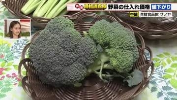 ブロッコリー50円、小松菜20円それぞれ価格値下がり　端境期の抜け出荷量増えて価格安定へ