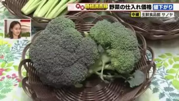 ブロッコリー50円、小松菜20円それぞれ価格値下がり　端境期の抜け出荷量増えて価格安定へ