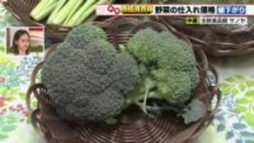 ブロッコリー50円、小松菜20円それぞれ価格値下がり　端境期の抜け出荷量増えて価格安定へ